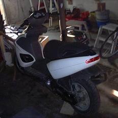 Benelli 491 gt SOLGT