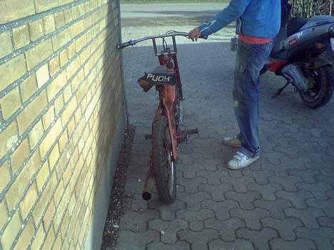 Puch maxi k - Solgt - billede 6