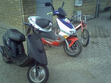 Puch maxi k - Solgt - billede 8