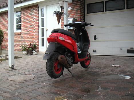 Piaggio Typhoon(SOLGT) billede 5