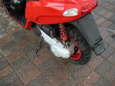 Piaggio Typhoon(SOLGT) billede 7