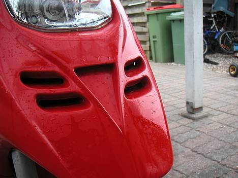 Piaggio Typhoon(SOLGT) - blank... billede 11