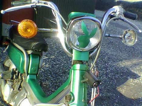 Suzuki Fz50 med PGO hot 50 motor billede 3