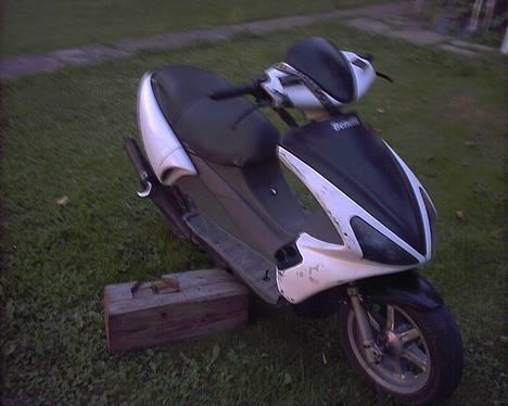 Benelli 491 gt SOLGT billede 1