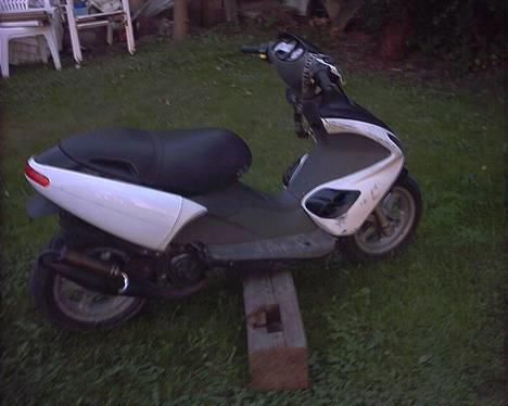 Benelli 491 gt SOLGT billede 2