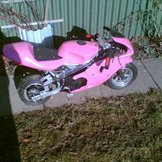 MiniBike .:-Pink Panter-:.