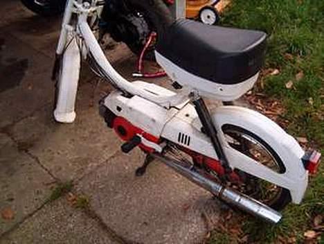 Puch mini maxi solgt billede 3