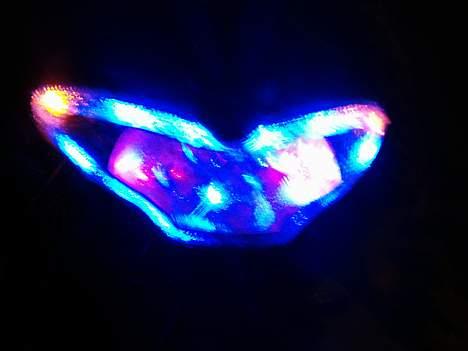 CPI hussar  billede 15