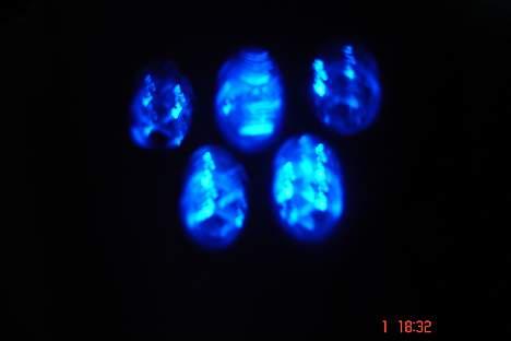 Yamaha JoG space -__- SOLGT billede 4