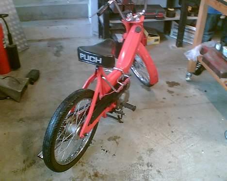 Puch Maxi *Solgt* - Nyt! 2/3 06 billede 13
