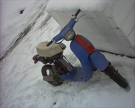 Honda melody billede 1