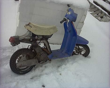 Honda melody billede 3