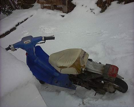 Honda melody billede 4