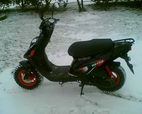 PGO Hot 50 billede 5