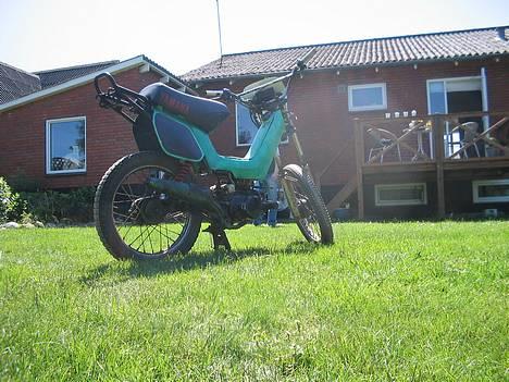 Yamaha Sting SOLGT - 01-07-06 billede 2