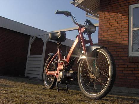 Puch Maxi (solgt) - PUCHHHHHHHHHH :P Nyt billede.. og nu med Aero skærme på.. Mega nejs.. :P billede 1