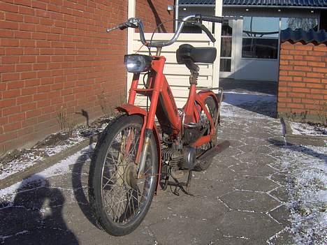 Puch Maxi (solgt) billede 6