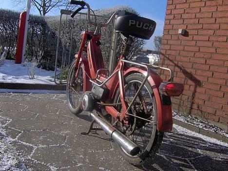 Puch Maxi (solgt) billede 9