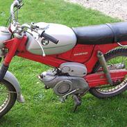 Puch Vz50