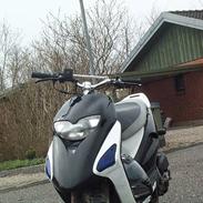 Honda SFX -- ## PROJEKT## 