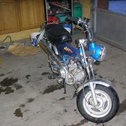 Honda dax