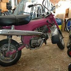 Honda Dax *Solgt*