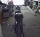 Puch Monza 3 gear' ( SOLGT )