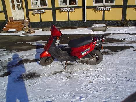 PGO hot50 - der er den jo billede 2