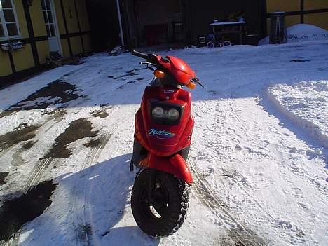 PGO hot50 - den er sød ikke  billede 4