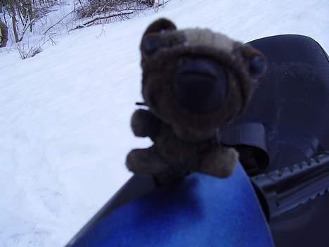 Gilera stalker (byttet til jog)  - min mascot billede 14