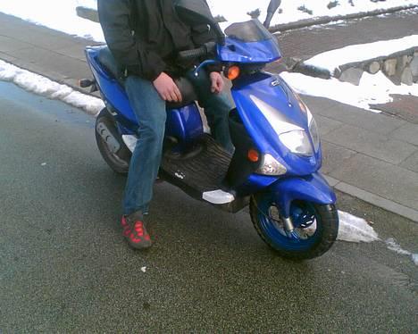 PGO Dr. big (en kammerats) - dyr på scooter. hehe billede 2