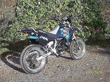 Suzuki SmX Harlequin billede 6