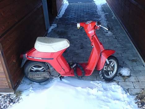 Honda Melody billede 1