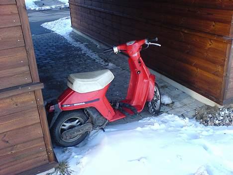 Honda Melody billede 2