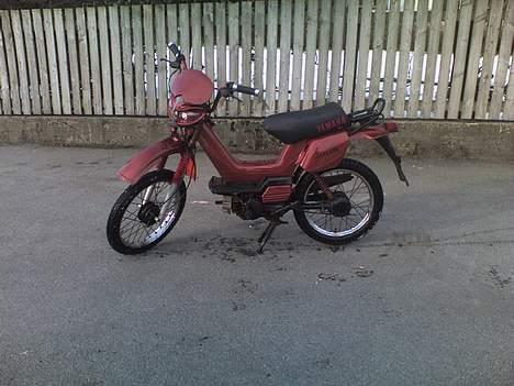Yamaha sting sg50 solgt billede 3