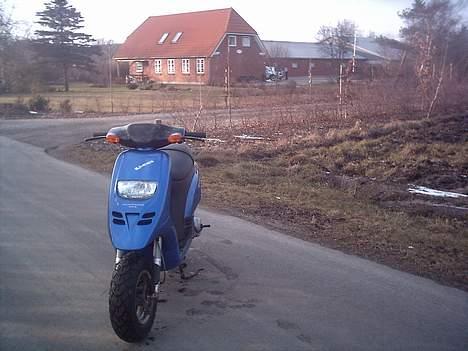 Piaggio typhoon TILSALG billede 12