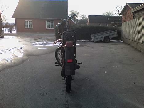 Yamaha sting sg50 solgt billede 4