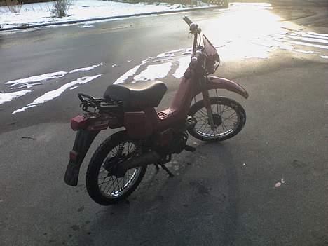 Yamaha sting sg50 solgt billede 8