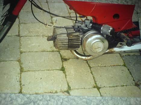 Puch Maxi 2 gear  billede 4