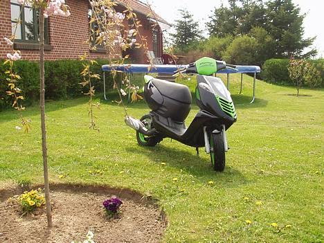 Aprilia Sonic Solgt   (SKRIV HER) - Nyt billed billede 3