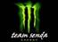 Team Senda Energy* /Monster Energy*