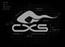 CXS