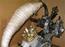 Ordentlige gearmaskiner.  ( AM6 )