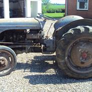  Ferguson 31(SOLGT)