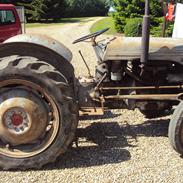  Ferguson 31(SOLGT)