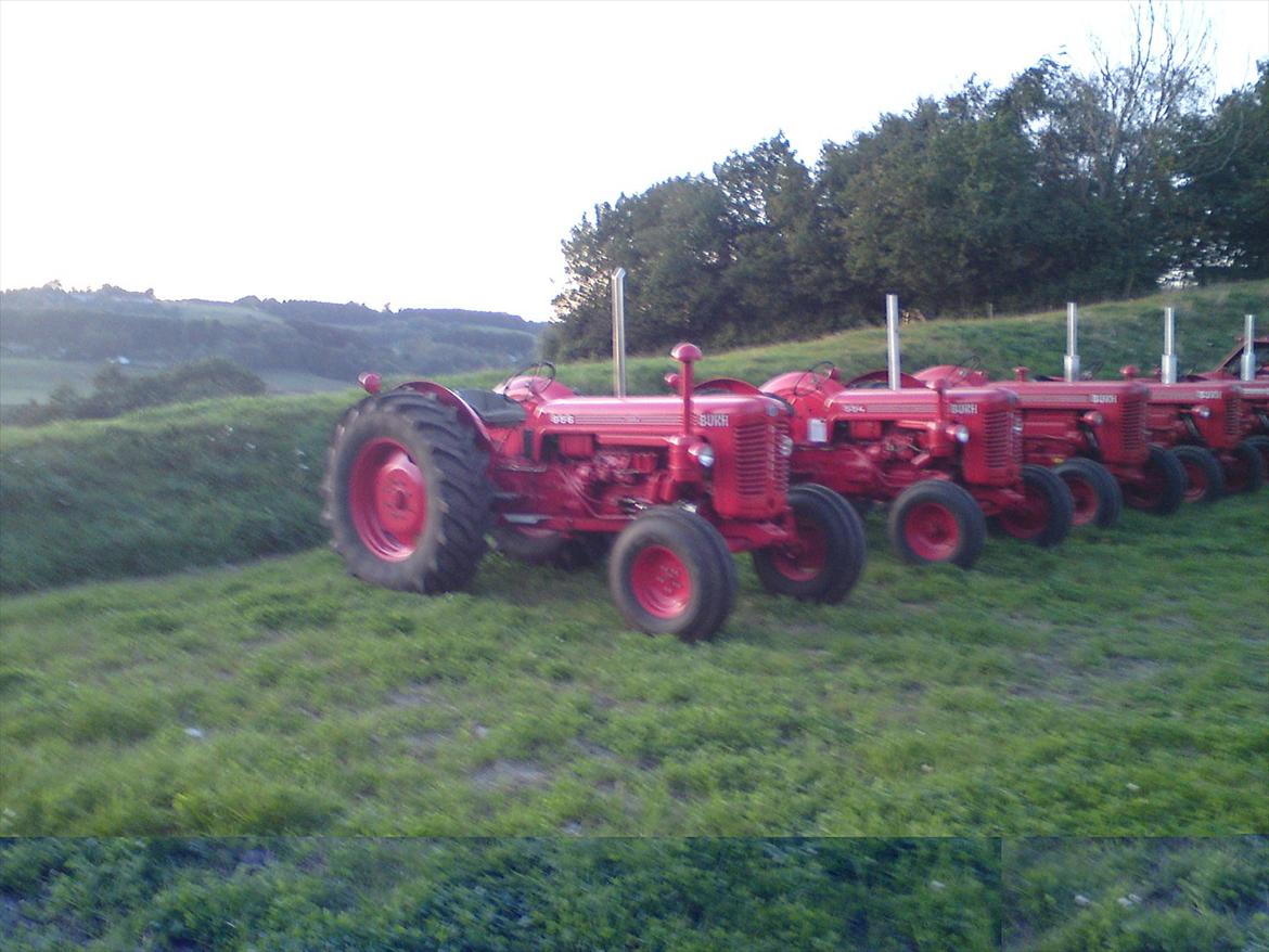 bukh billede 2