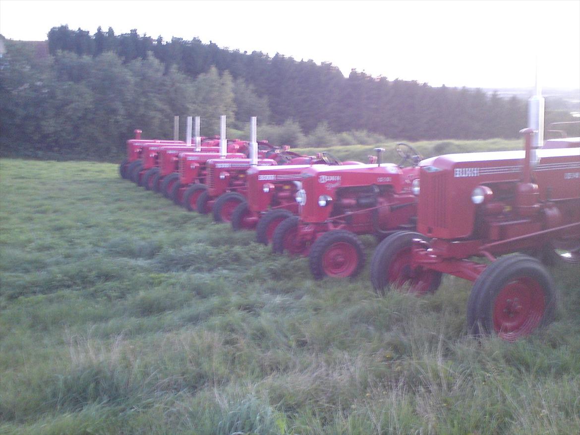 bukh billede 12