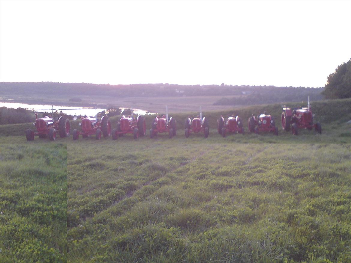 bukh billede 13