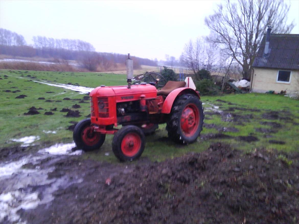 traktor tommy