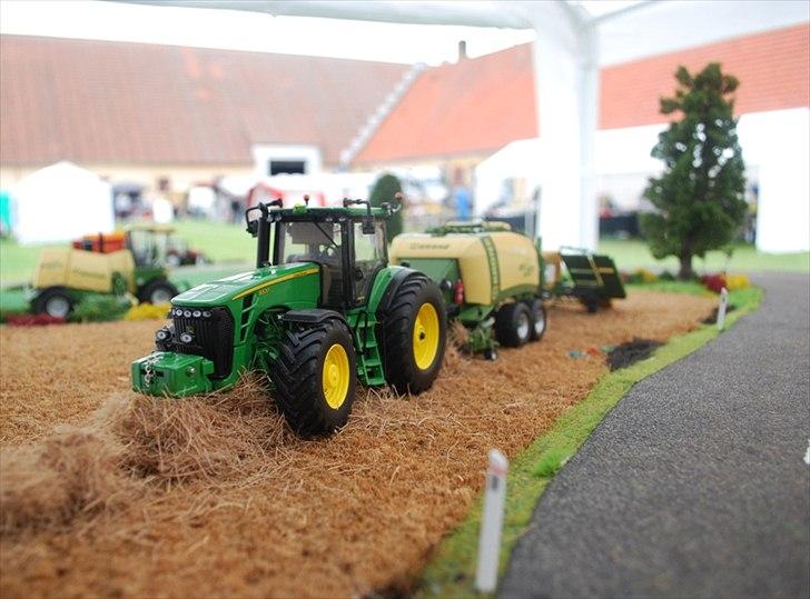 Birkendegaard 2011 billede 1